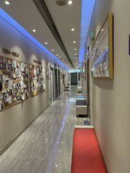 -上海首尔丽格医疗美容医院