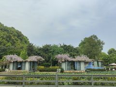 -洪湖家庭农场·团建·露营·会议