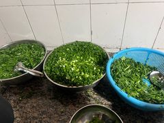 -正宗杨记普洱酸醋米线(总店)