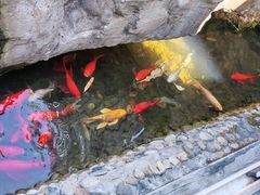 -海韵之星邮轮水会(明发商业广场店)