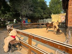 -HERRE·FARM 赫尔露营农场·团建聚会包场