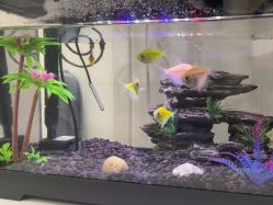 -摩瘦纤体订制减肥