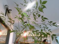 -Joymean coffee.见面咖啡