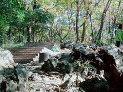 -紫金山山顶公园