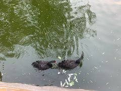 -石家庄市动物园