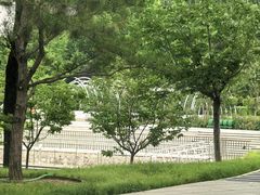 -大望京公园