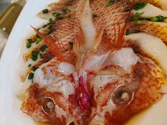 -骏莱海鲜鱼港(五角场店)
