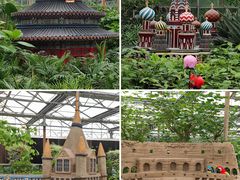 -南宫五洲植物乐园
