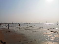 -南戴河国际娱乐中心