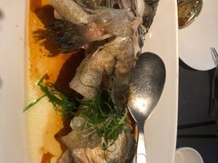 清蒸老虎斑-徐记海鲜(曲江南湖店)