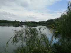 -溱湖国家湿地公园