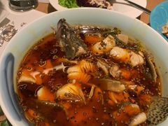 fusion水煮鱼-梧桐