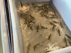 -芭提雅Amporn Seafood自助餐厅