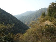 -安吉龙王山风景区
