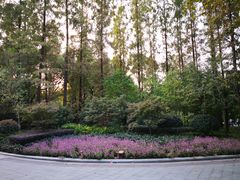 -徐家汇源景区-衡山公园