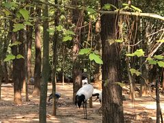 -鄱阳湖国家湿地公园