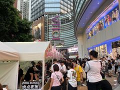 -VT101维多利广场
