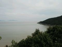 -花岙岛