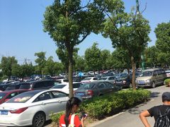 -野生动物园-停车场