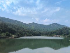 -大姆山草场
