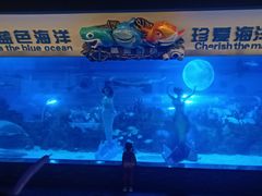 -成都浩海立方海洋公园
