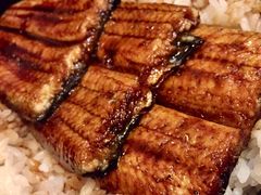 鳗鱼饭-小菊日本料理