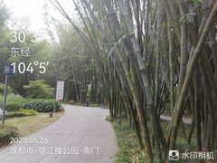 -望江楼公园