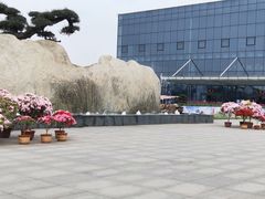 -南通洲际绿博园