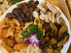 -大理董·董家小厨野生菌火锅(古城旗舰店)