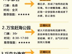 -日照灯塔风景区