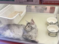-博纳国际影城(皇庭店)