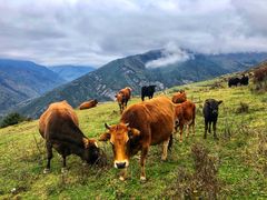 -叠溪松坪沟景区