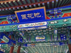 -莲花池公园