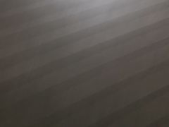 -荷兰红屋