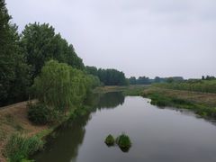 -东郊湿地公园