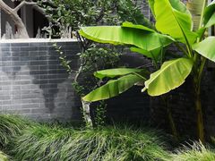 -梅园