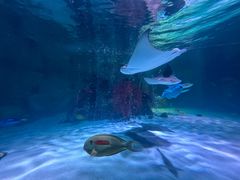 -沈阳海洋探索中心