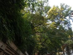 -北极阁公园