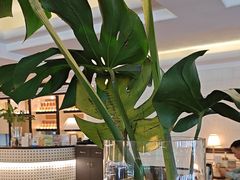 -良木缘咖啡西餐(优品道广场店)