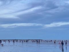 -奉贤海滩