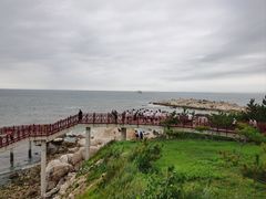 -养马岛旅游度假区