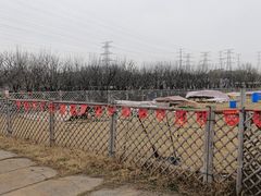 -栖露营camping·天幕烧烤·团建拓展·采摘营地