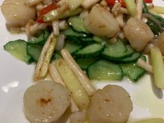 -蝶园·装修中(BFC外滩金融中心店)