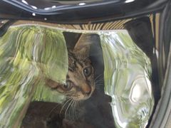 -联合动物医院(光谷诊疗中心)