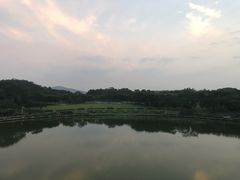 -东莞植物园