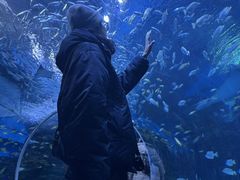 -海合安成都极地海洋公园