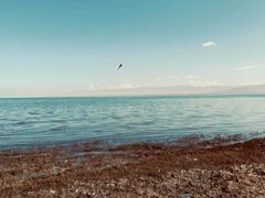 -青海湖国家重点风景名胜区