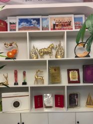 -金美秀瘦身养生