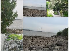 -上海吴淞炮台湾国家湿地公园