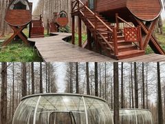 -黄海国家森林公园